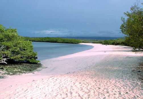 Tour Galápagos Temporada Baja desde Quito Guayaquil